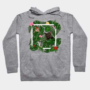 Tropical Jungle Cats and Kitties With Flowers Hoodie